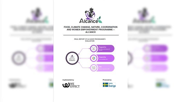 Avaliação Externa Intermédia: Programa ALCANCE
