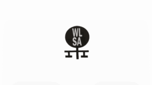WLSA Moçambique
